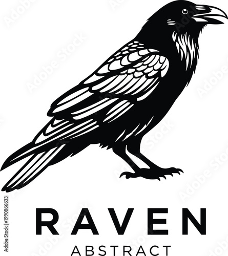 A striking black and white illustration depicts a raven perched showcasing detailed feather textures and a strong profile high quality professional
