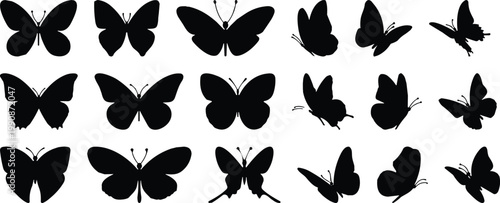 Bild auf Leinwand Butter fly