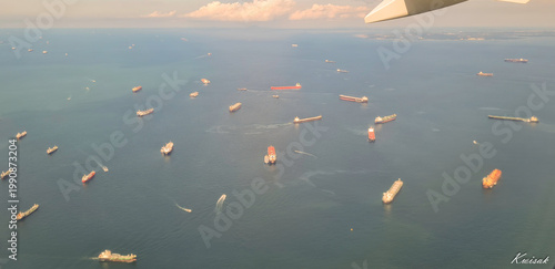 Les Fourmies maritimes