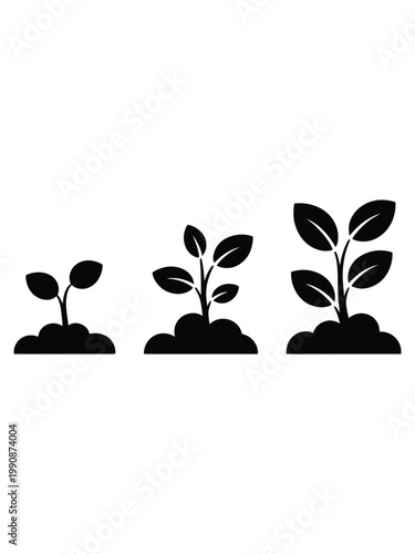 Growth stages of a small plant silhouette showing development from sprout to leaf seedling isolated on a transparent background.