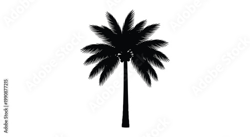 A striking black palm tree stands isolated against a white background silhouette