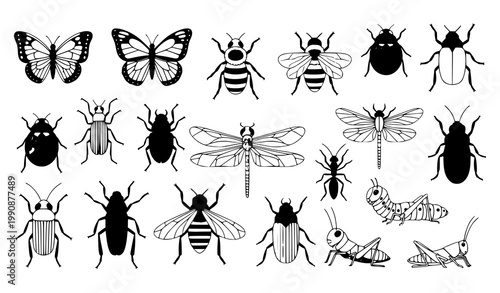 Colorful Insect Vector Set Bugs Beetles Butterflies Bees Illustration Collection