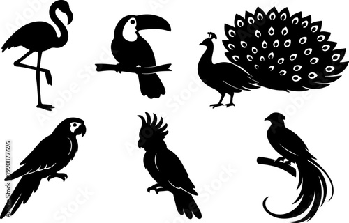 Exotic Tropical Bird Black Silhouette Set — Flamingo, Toucan, Peacock, Macaw Parrot, Cockatoo, Bird of Paradise Vector Collection