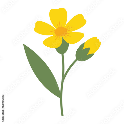 Simple flat Patrinia with one bud yellow flower green stem