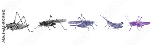 Canvastavla Vector art of collection of grasshoppers in different colors