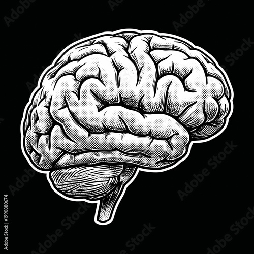 An intricately detailed illustration of the human brain, showcasing the complex structure and anatomical features, representing the center of thought, memory.