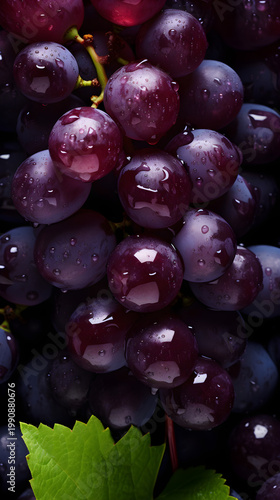 Vertical close up of dark purple grapes with water droplets. Fresh wet fruit bunch with green leaf