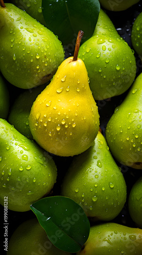 Close up of fresh green pears covered in water drops. Vertical photo of ripe juicy fruits with dark green leaves on a black background. Healthy organic produce concept