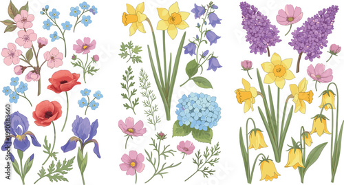 Colorful Spring Wildflower Botanical Set with Iris, Poppy, Daffodil, Lilac, Hydrangea, and Bluebell for Floral and Garden Designs