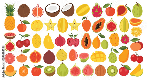 Comprehensive set of diverse fruit illustrations including tropical, exotic, and common varieties in a colorful grid for healthy food.