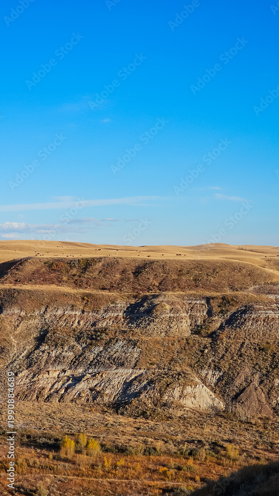 Fototapeta premium Panoramic high angle view of Horseshoe Canyon with stratified rock layers and autumn foliage in the Canadian Badlands