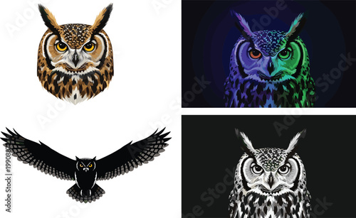 Owl head illustration, realistic feathers, colorful neon digital art, black silhouette flying owl, monochrome sketch, nocturnal bird, wildlife symbol