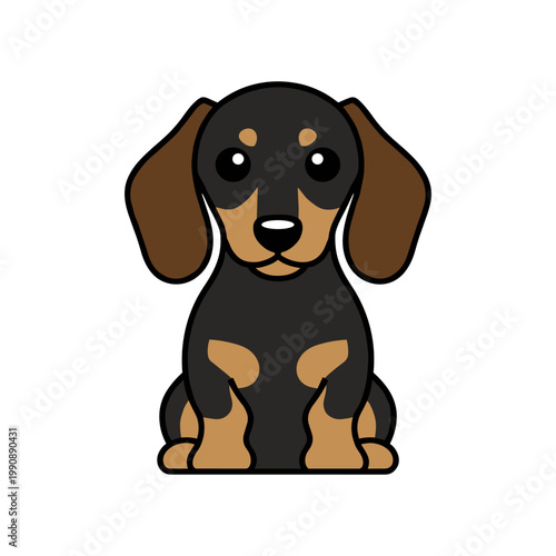 A cute black and tan dachshund puppy sits patiently, showcasing its iconic long body and floppy ears.