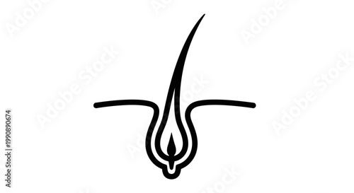Single hair follicle illustration with roots a distinctive silhouette