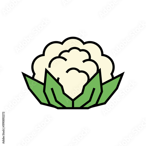 A fresh and healthy cauliflower head with green leaves is depicted in a colorful illustration.