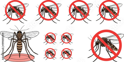 Mosquito prohibition signs vector set with detailed insect illustrations and stop symbols for pest control and disease prevention
