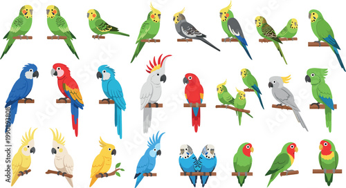 Parrot and tropical birds vector set with macaw cockatoo budgie and exotic colorful wildlife illustration collection