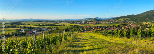 Rheinebene_2387