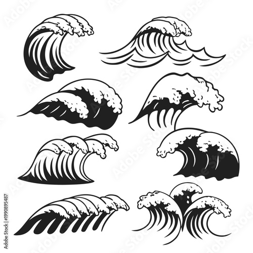 seashell vector illustration