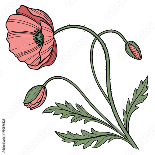 Canvas Print A vibrant illustration depicts a single red poppy flower with a green stem buds