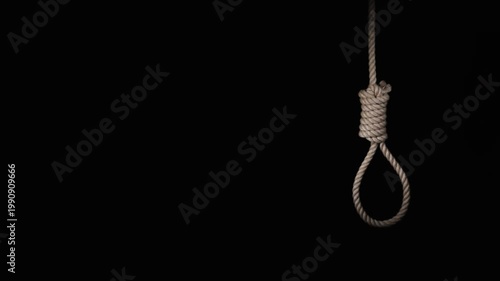 rope noose with hangman knot in front of dark background. suicide loop. suicide loop. the gallows. the loop dangles. rope noose with hangman knot in front of dark background,