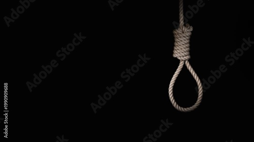 rope noose with hangman knot in front of dark background. suicide loop. suicide loop. the gallows. the loop dangles. rope noose with hangman knot in front of dark background,