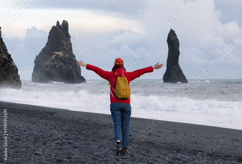 Canvas-taulu A person standing along a stunning black sandy beach Reynisfjara and rocky terra
