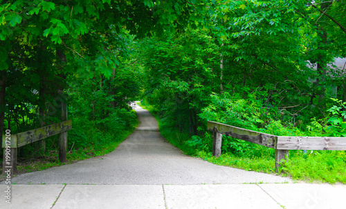 Tableau sur toile A narrow paved path leads into dense green woods with sunlight filtering through