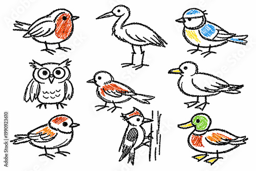 Childlike crayon pencil bird doodle set with small birds in playful kids drawing style - concept wildlife illustration