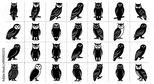 Collection of diverse owl silhouettes in various poses and styles perfect for graphic design illustrations and thematic projects featuring detailed feather textures and distinct