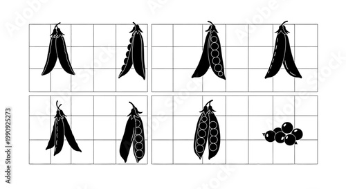 Six diverse pea pods some open revealing round peas inside and a small cluster of black berries all presented in a clean graphic grid based composition with a minimalist black