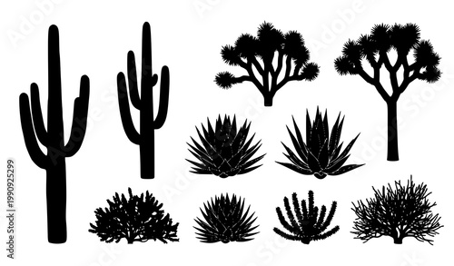 A set of black silhouettes of various desert plants and trees on a white background