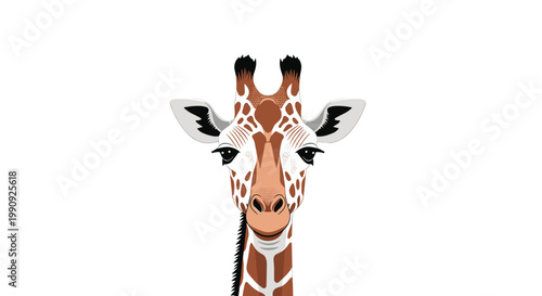 Portrait of a giraffe head with detailed brown and white spotted patterns isolated against a plain white background for nature concept.