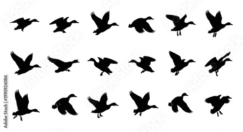 Collection of black silhouettes of geese in various flying poses and wing positions against a clean white background illustrating movement and animation cycles