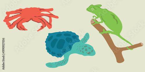 Vector hand-drawn exotic animals: crab, turtle and chameleon for stickers, prints, posters, educational materials