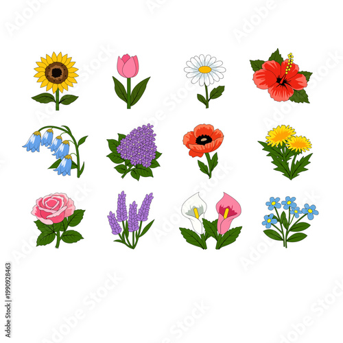 Colorful Botanical Flower Set