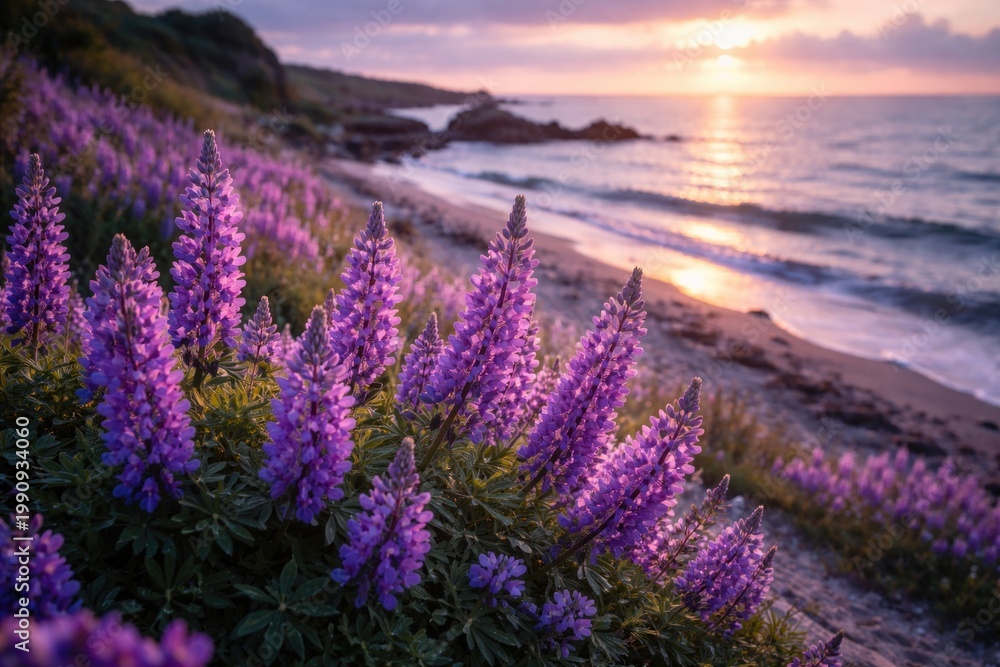 Fototapeta premium Beautiful violet flowers flourishing along calm seaside coast