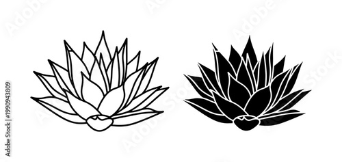Agave Plant Line Art and Black Silhouette Vector
