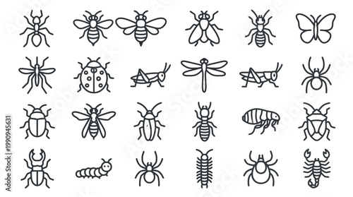 Set of Insect and Bug Line Icons for Biology Education Web Design and Pest Control Services Vector Illustration on White