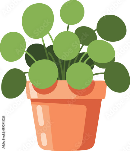 Pilea peperomioides houseplant in terracotta pot, flat vector illustration of Chinese money plant, green potted indoor plant for home decor