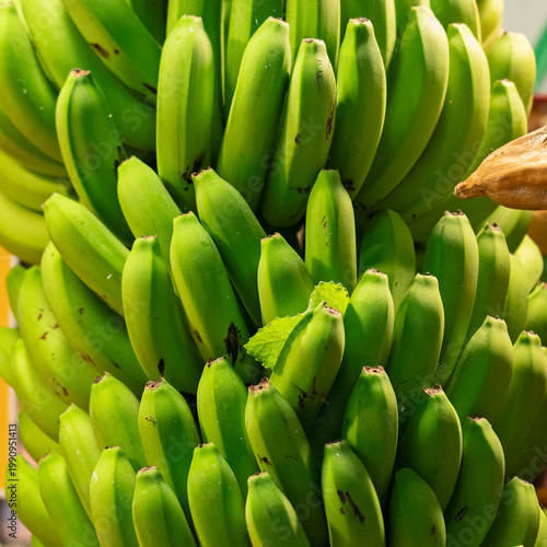 Banana fruits bunch on the market