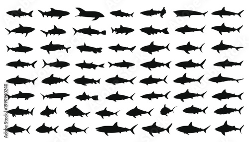 Sharks collection features numerous predatory fish silhouettes arranged in a grid pattern against a clean white background to showcase various swimming poses for marine biology and graphic design.