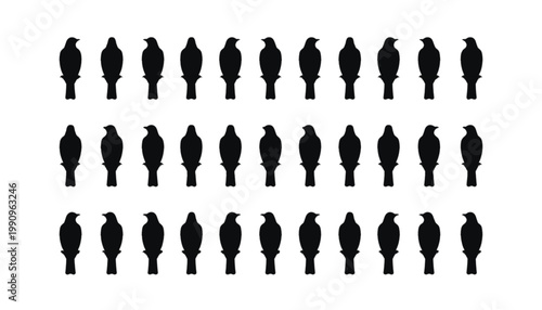 Birds perched in uniform rows form a repeating pattern of black silhouettes that highlight avian anatomy and provide a clean graphic structure for minimalist design work and creative projects.