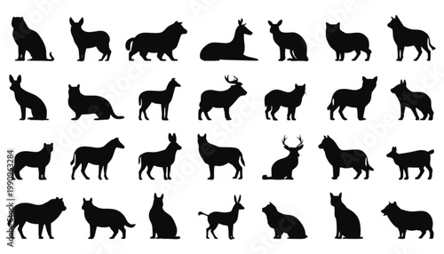 Canines and wild beasts are displayed in a comprehensive set of black silhouettes showcasing various predatory animals and forest creatures arranged neatly for graphic design and artistic use.
