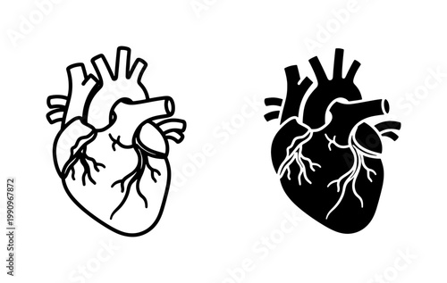 Human Heart Anatomical Icon Set in Black and White Outline