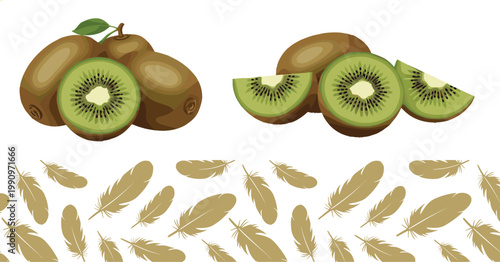 Vector illustration of whole and sliced kiwifruit with decorative brown feather pattern in creative design