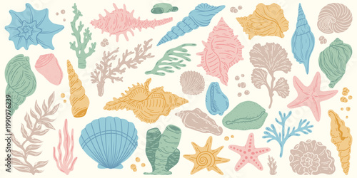 Flat vector set cartoon illustration of colorful sea shells, corals, and plantin various shapes and patterns. For summer, marine, vacation, beach, card, sea, ocean design. Isolated white background.