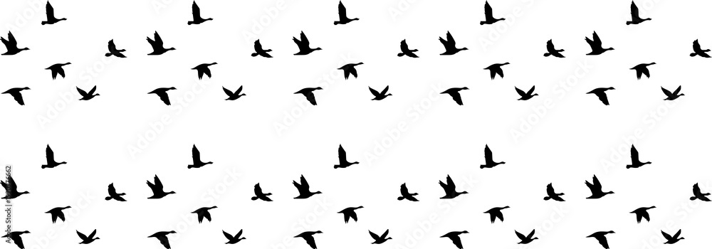 Obraz premium Flock of birds silhouette png black silhouette of bird flock flying on white background, Beautiful flock of birds flying in blue sky png transparent background Png