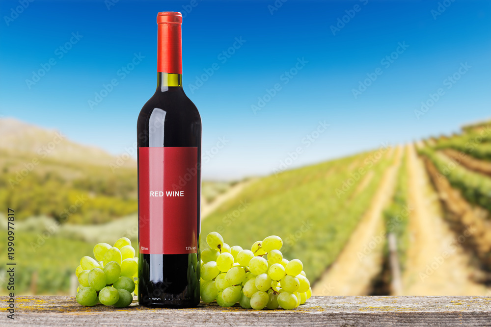 Fototapeta premium Red wine bottle with grapes vineyard background