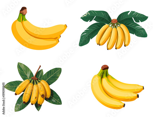 Ripe bananas flat design illustration isolated on transparent background
